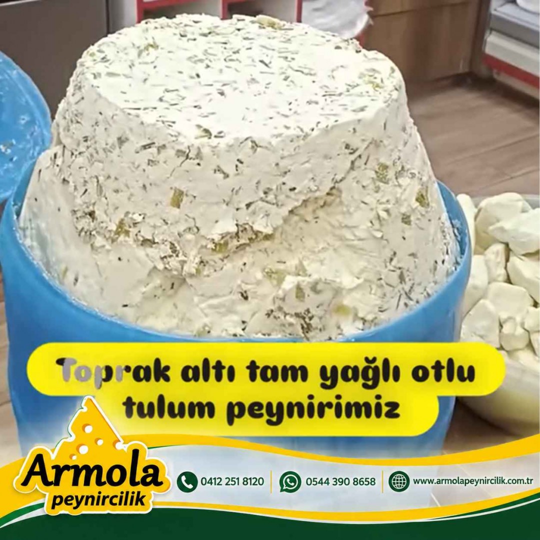 Otlu Tulum Peyniri